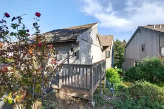 Photo #1: 225146919 Listing 