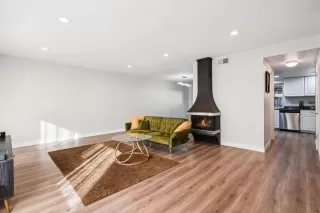 Photo #3: 225147237 Listing 