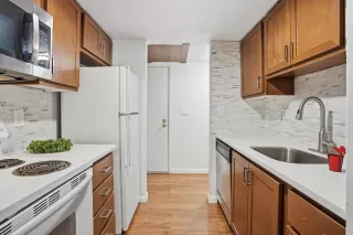 Photo #4: 225147265 Listing