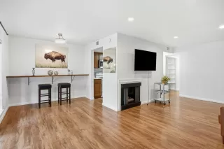 Photo #5: 225147265 Listing