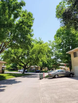 Photo #3: 225147586 Listing 