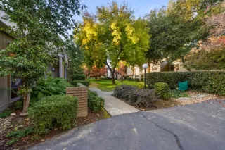 Photo #1: 225147953 Listing 