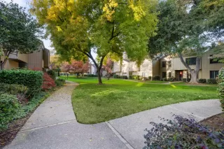 Photo #3: 225147953 Listing 