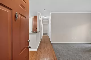 Photo #3: 225148031 Listing 