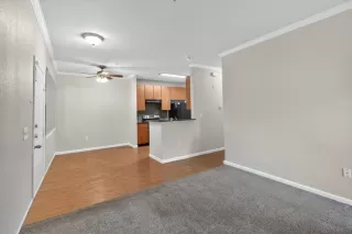 Photo #6: 225148031 Listing 