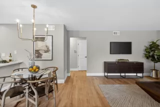 Photo #3: 225148035 Listing 