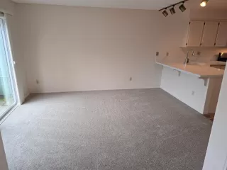 Photo #4: 225148498 Listing 