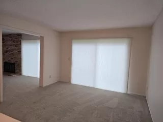 Photo #5: 225148498 Listing 