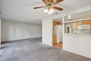 Photo #4: 225148951 Listing 