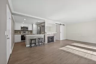 Photo #1: 225148991 Listing