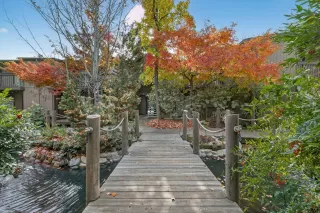 Photo #4: 225148991 Listing