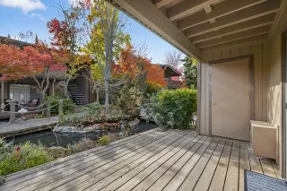 Photo #5: 225148991 Listing