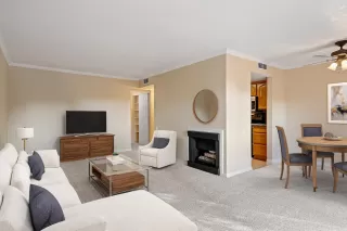 Photo #4: 225149092 Listing 