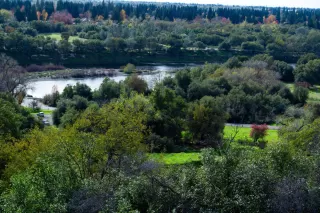 Photo #1: 225149431 Listing 