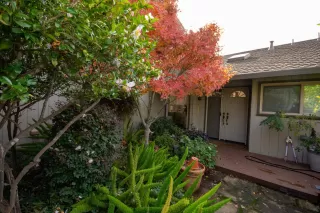 Photo #4: 225149431 Listing 