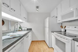 Photo #5: 225149569 Listing 