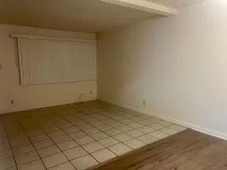 Photo #3: 225149608 Listing