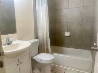 Photo #6: 225149608 Listing