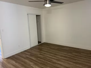 Photo #5: 225150162 Listing