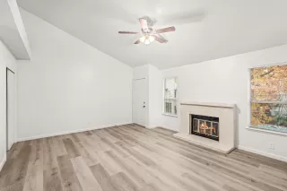 Photo #1: 225150185 Listing