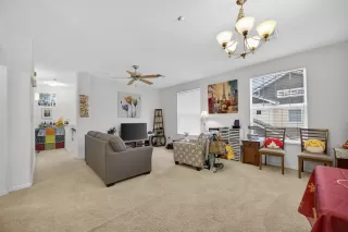 Photo #1: 225150778 Listing