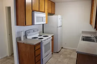 Photo #1: 225151083 Listing 