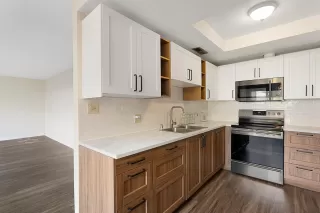 Photo #2: 225151116 Listing