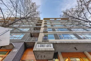 Photo #3: 225151321 Listing