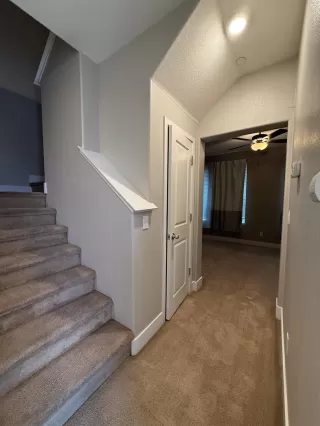 Photo #6: 225151452 Listing