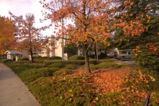 Photo #1: 225151766 Listing