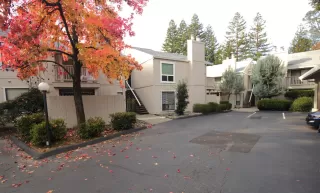 Photo #2: 225151766 Listing