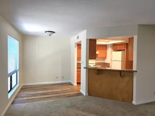 Photo #5: 225151766 Listing