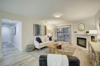 Photo #1: 225152409 Listing