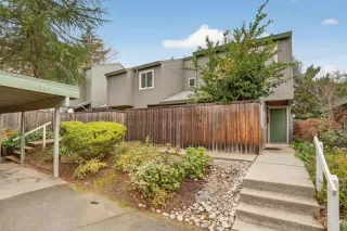 Photo #1: 225152858 Listing 