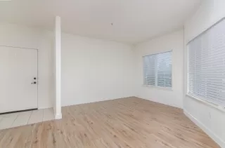 Photo #1: 225153586 Listing 