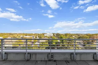 Photo #5: 226001416 Listing 