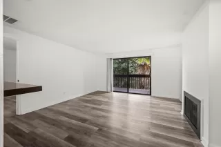 Photo #1: 226001447 Listing 