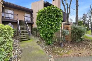 Photo #4: 226002021 Listing