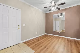 Photo #5: 226003566 Listing 