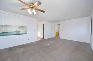 Photo #6: 226004066 Listing 