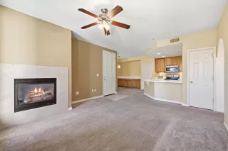 Photo #5: 226004309 Listing 