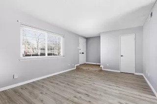 Photo #4: 226004443 Listing 