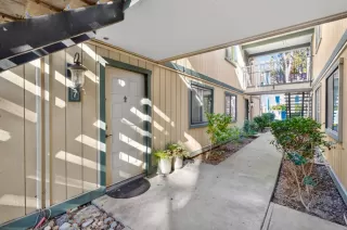 Photo #1: 226004607 Listing 