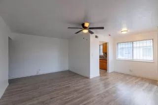 Photo #1: 226006466 Listing 