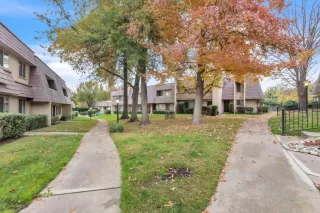 Photo #3: 226006539 Listing 