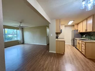 Photo #5: 226006848 Listing 