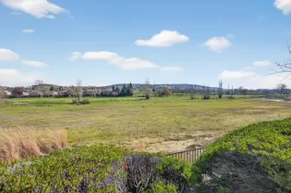 Photo #4: 226006868 Listing