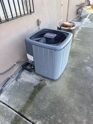 Photo #2: 226006951 Listing 