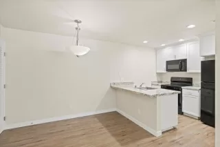 Photo #5: 226008393 Listing