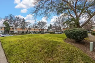 Photo #3: 226008706 Listing